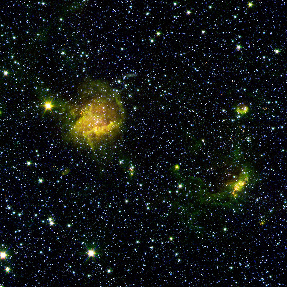 beastly stars and a