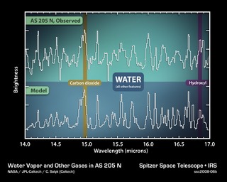 Water Vapor in the Young Planetary Disk of AS 205N