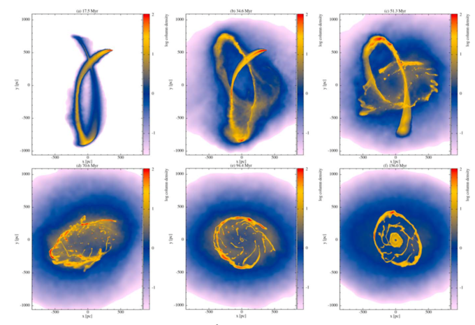 Filament paths