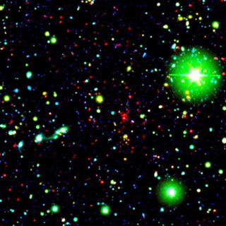 Sig06 006d