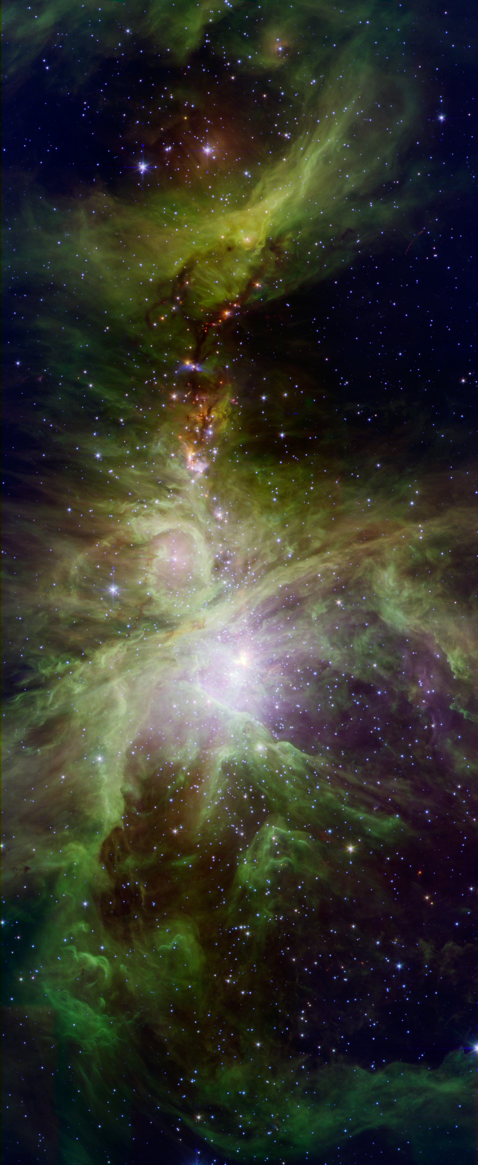 The Orion Nebula  1000 Exposures astrophotography  Nebula wallpaper  Nebula Space pictures