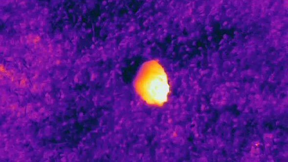 "How do you discover an asteroid?" (Ask an Astronomer)